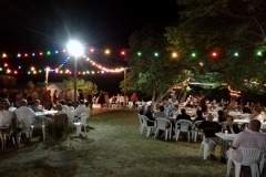 Bal dans le parc